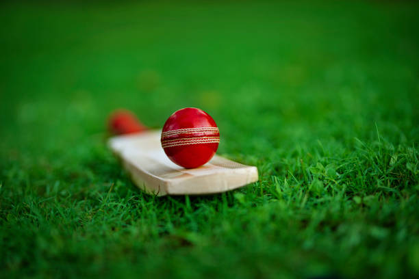 The Rise of Cricket Analytics: How Data Is Changing the Game