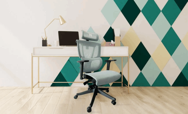 Hinomi Review for Singapore Shoppers: Ergonomic Luxury or Just Hype?