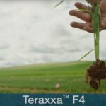 Laser 247: Comprehensive Guide to India’s Premier Laser Eye Care Destination