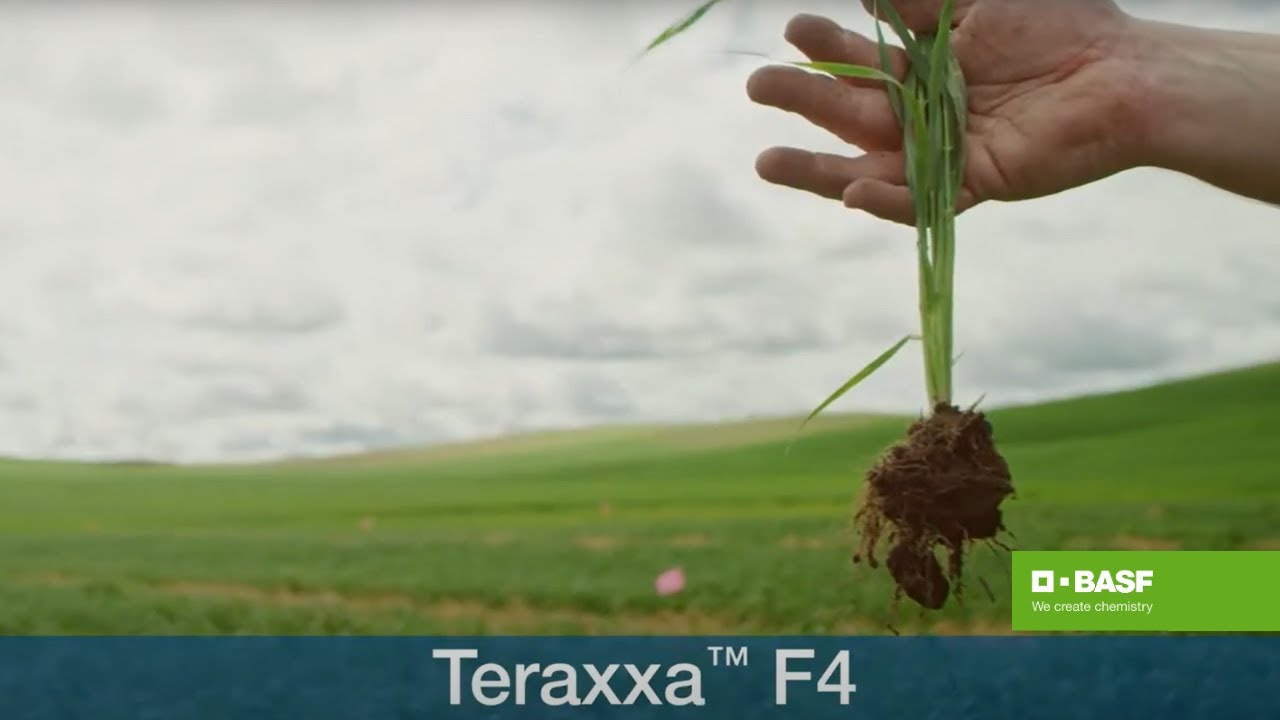 Laser 247: Comprehensive Guide to India’s Premier Laser Eye Care Destination