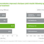 Understanding Reddy Book Win: Features, Benefits, and How to Maximize Your Reddybook Win ID